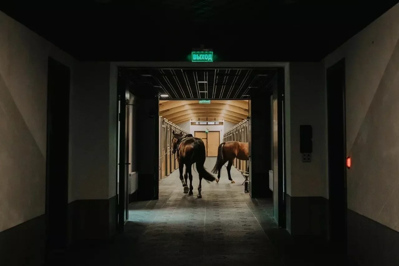 Конный клуб Emerald Stables