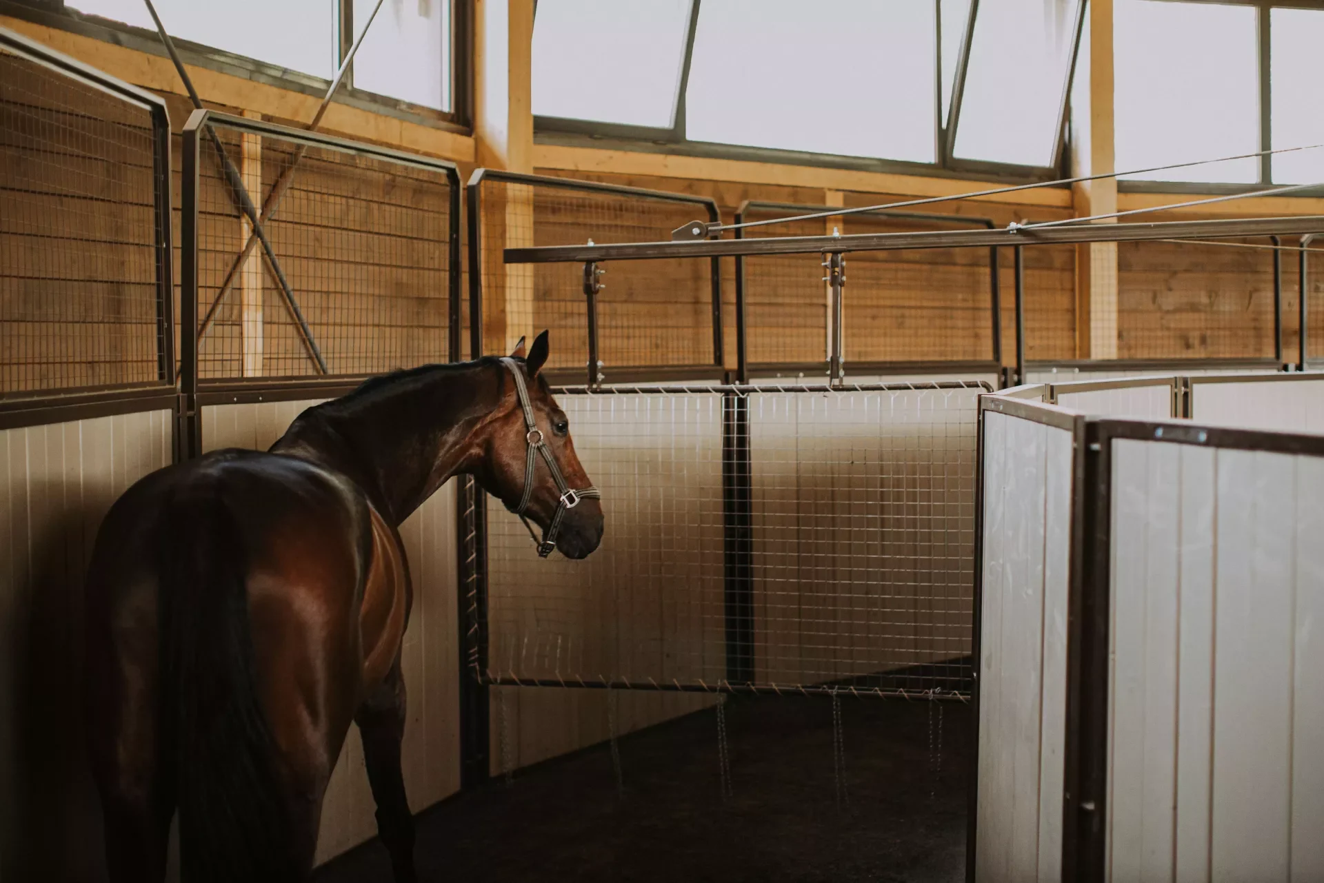 Emerald Stables